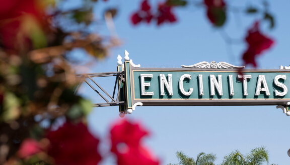Encinitas sign with vibrant background
